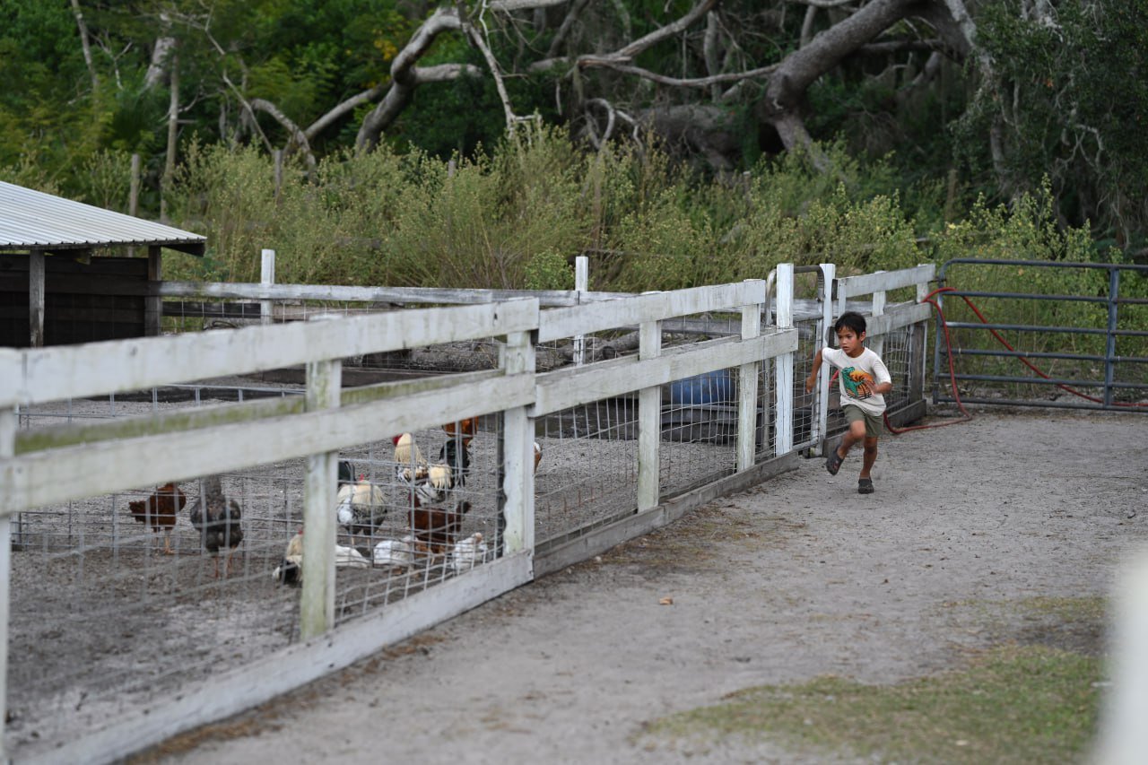 Nature and Human Touch 13