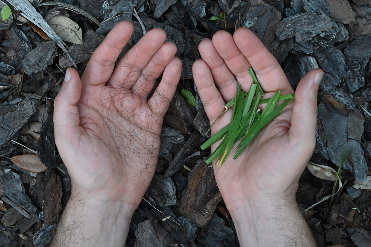 Nature and Human Touch 14