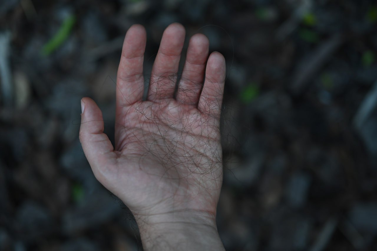 Nature and Human Touch 15