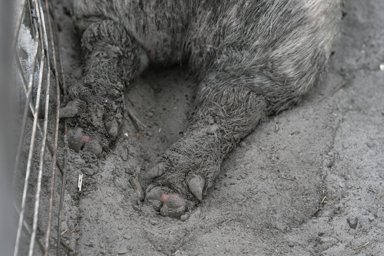 Nature and Human Touch 2