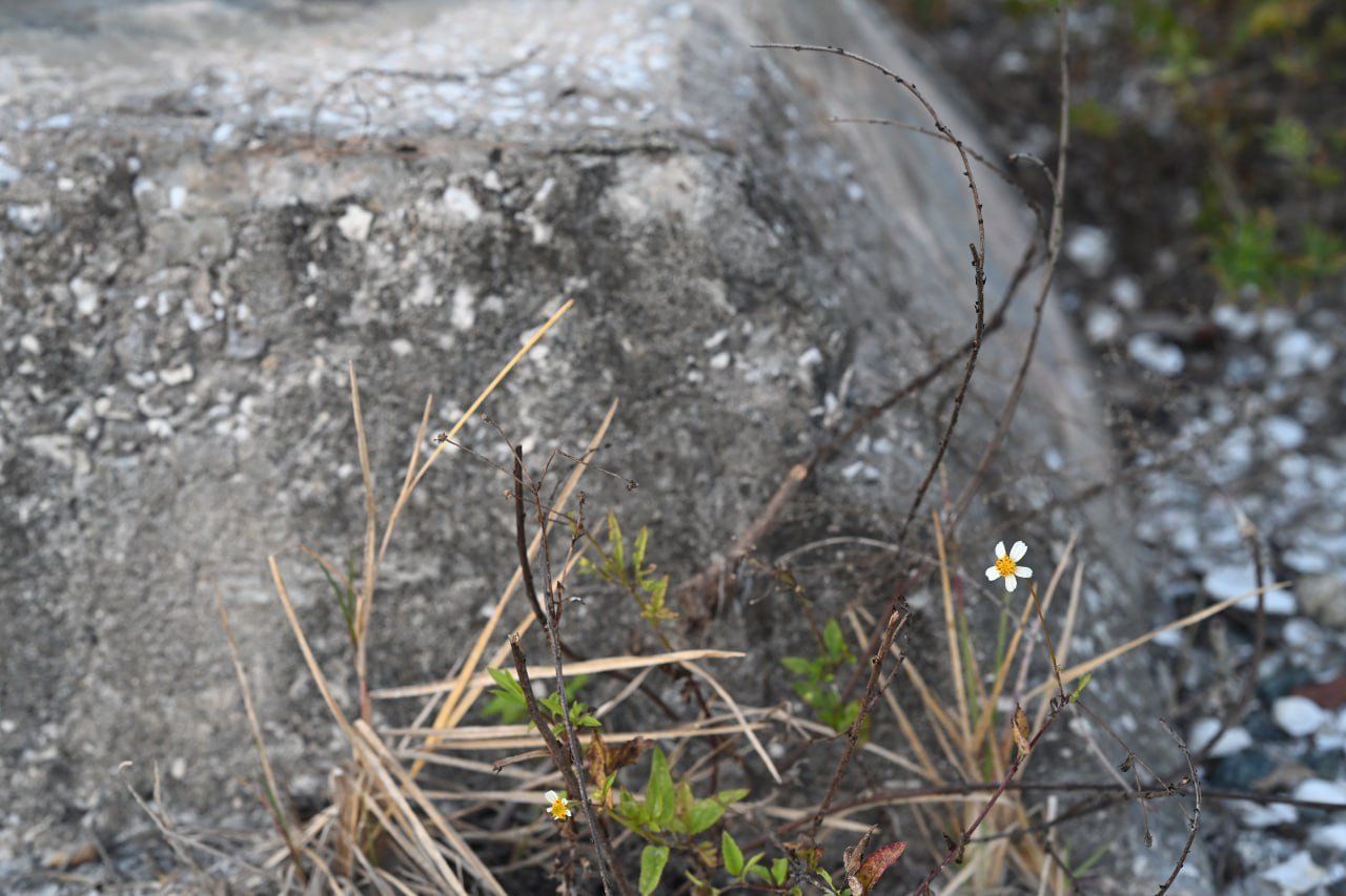 Nature and Human Touch 3