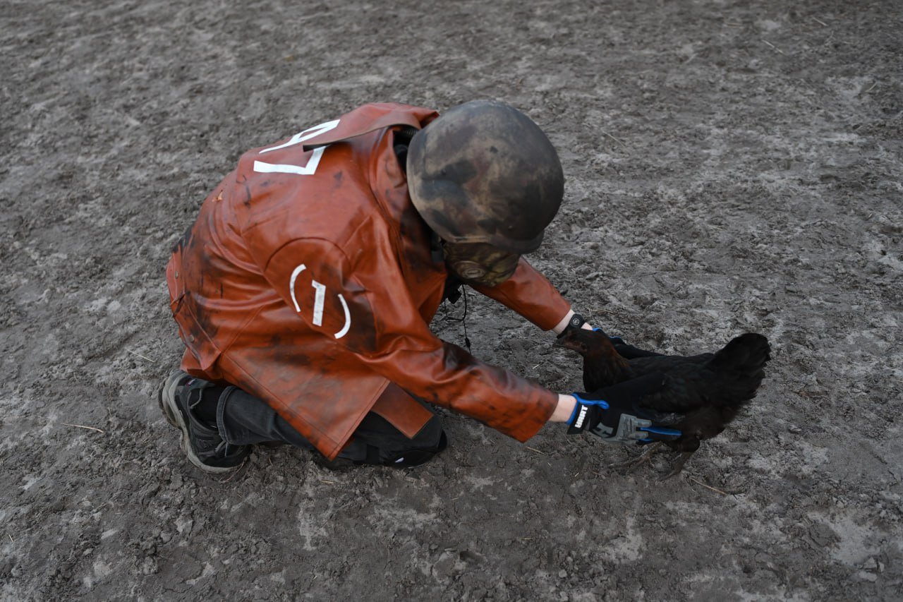 Nature and Human Touch 5